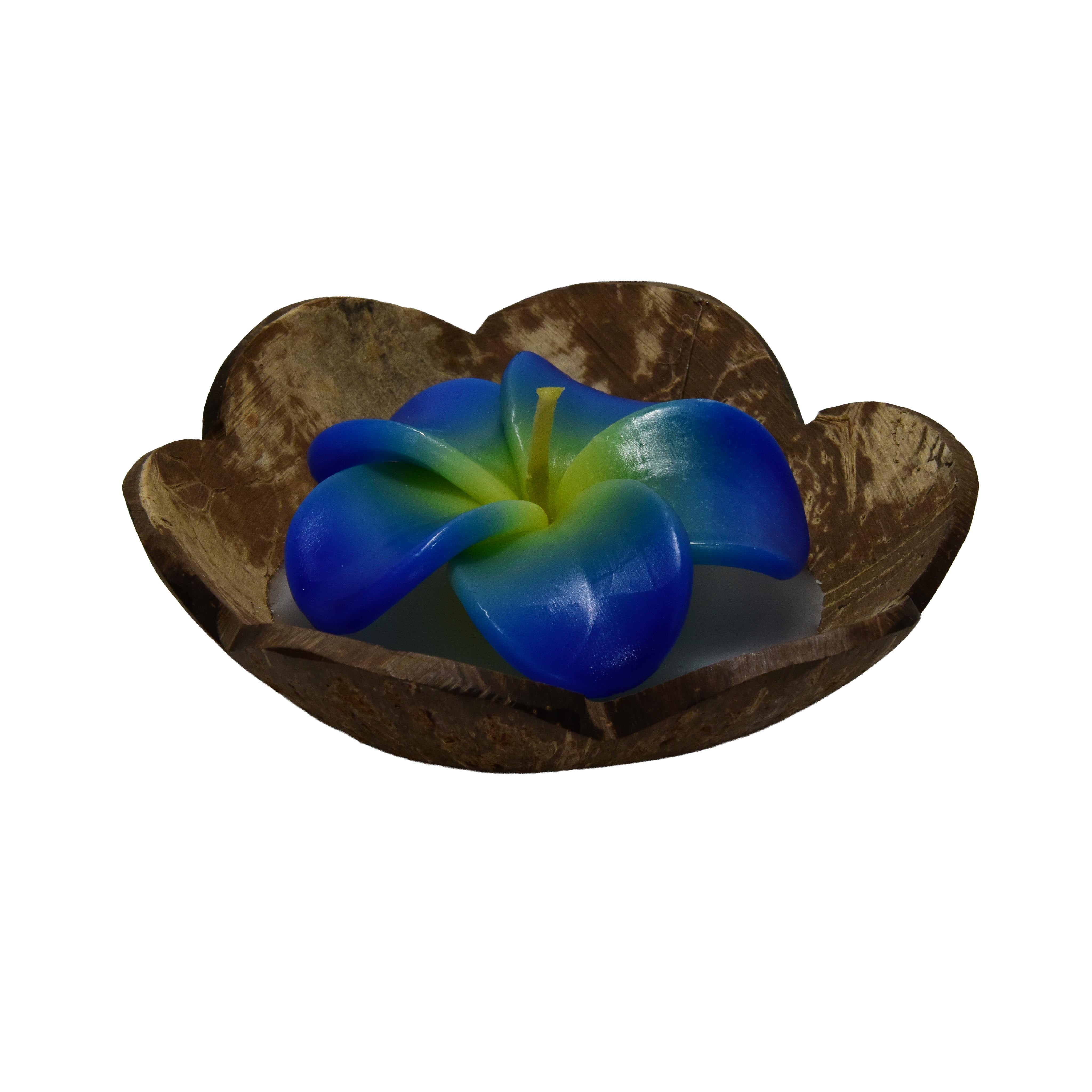 Lalanna Kokosnuss Frangipani Duft-Blumenkerze Blau